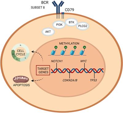 Biology and Treatment of Richter Transformation